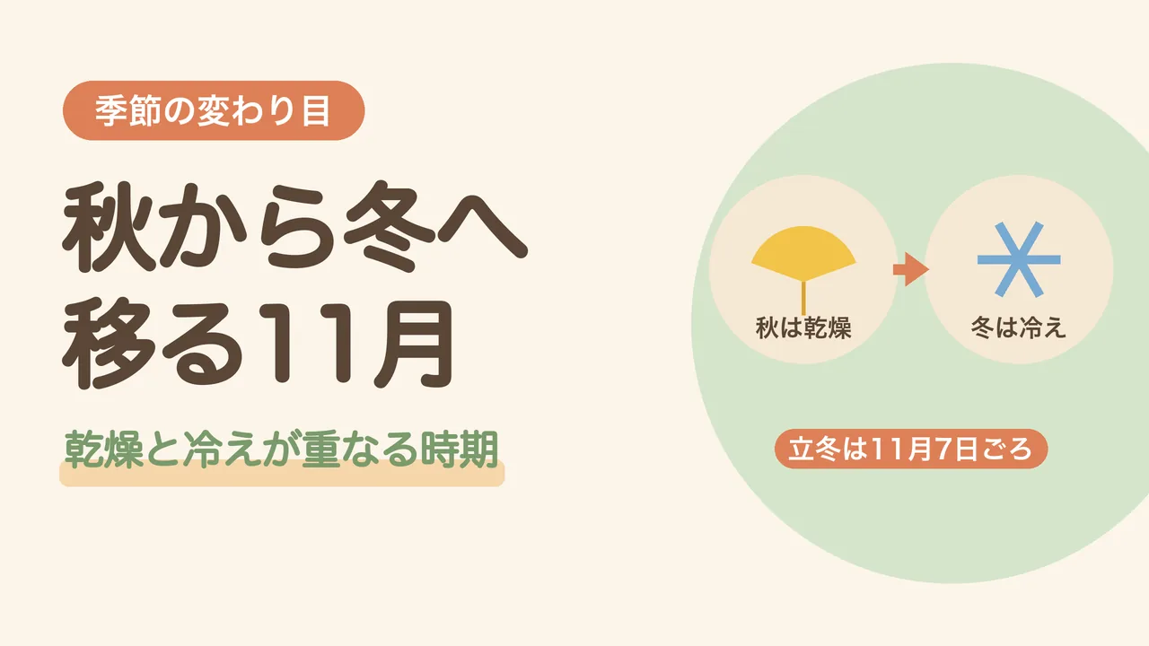 11月はどんな季節?秋は乾燥、冬は冷え。いちょうの葉から雪の結晶への矢印で、秋から冬へ移る11月をあらわした図