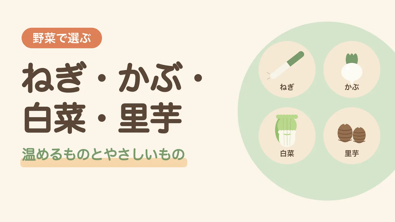 野菜で選ぶ11月の旬。ねぎ、かぶ、白菜、里芋のイラスト
